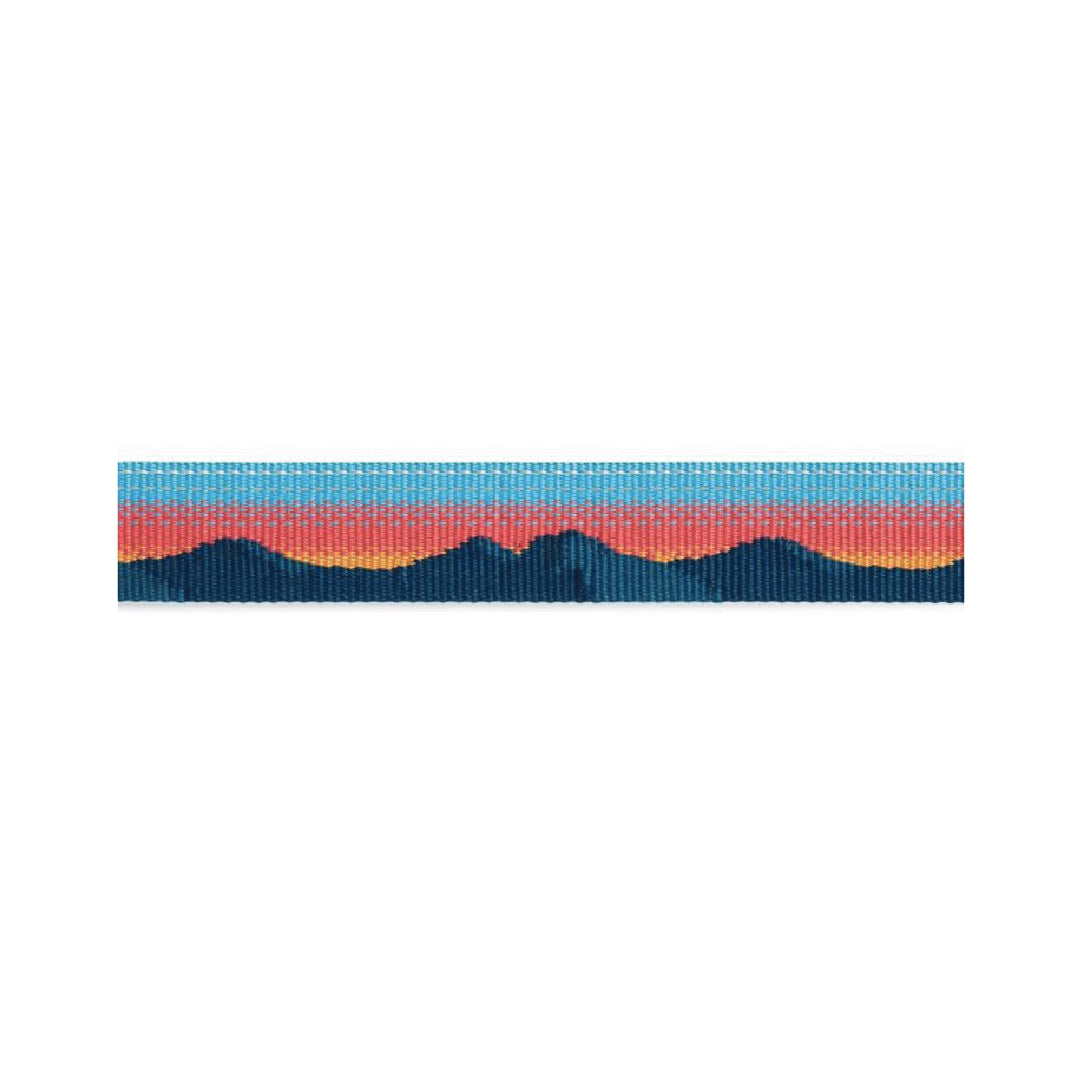 Ruffwear Chain Reaction Dog Collar (Sunset)