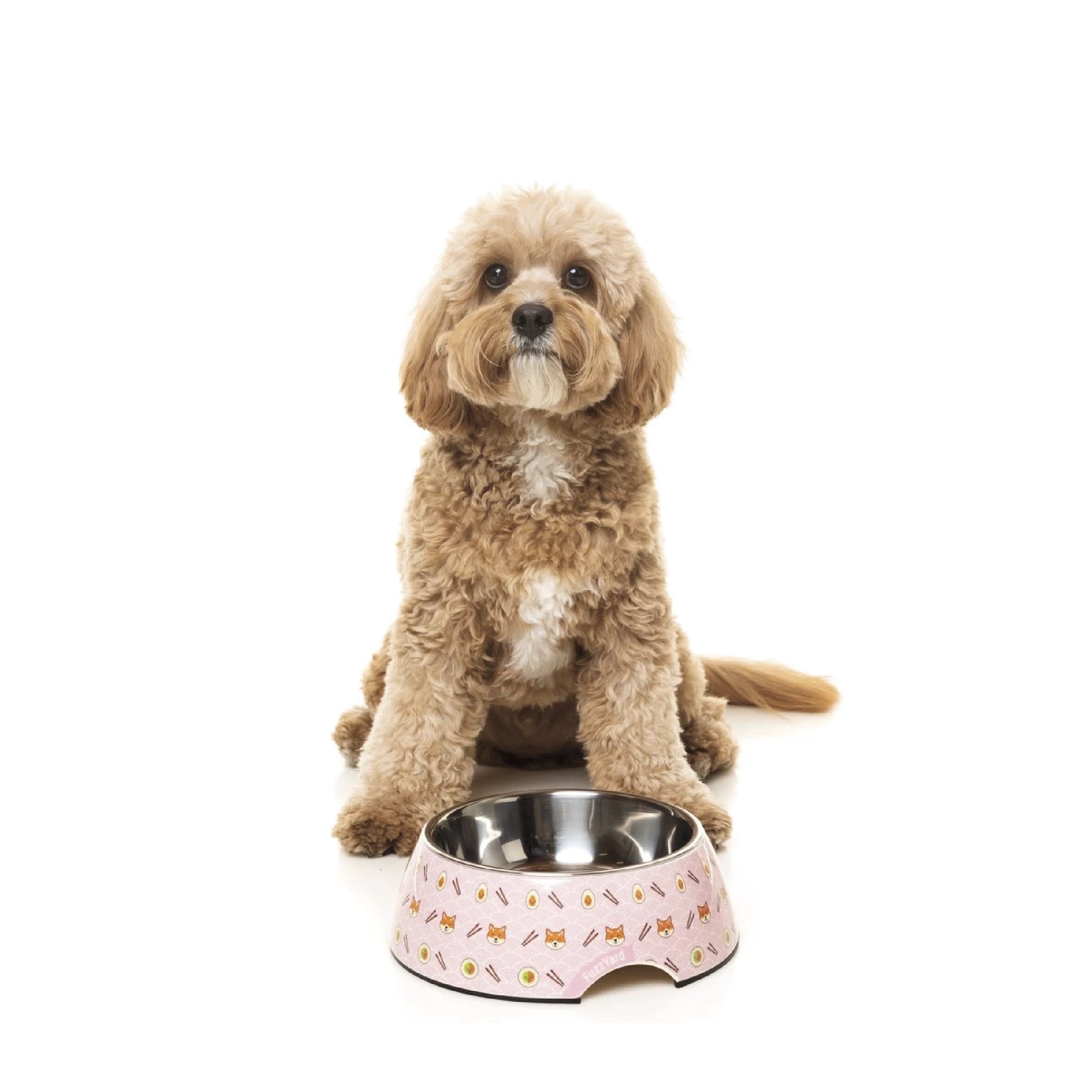 FuzzYard Easy Feeder Dog Bowl (Sushiba)