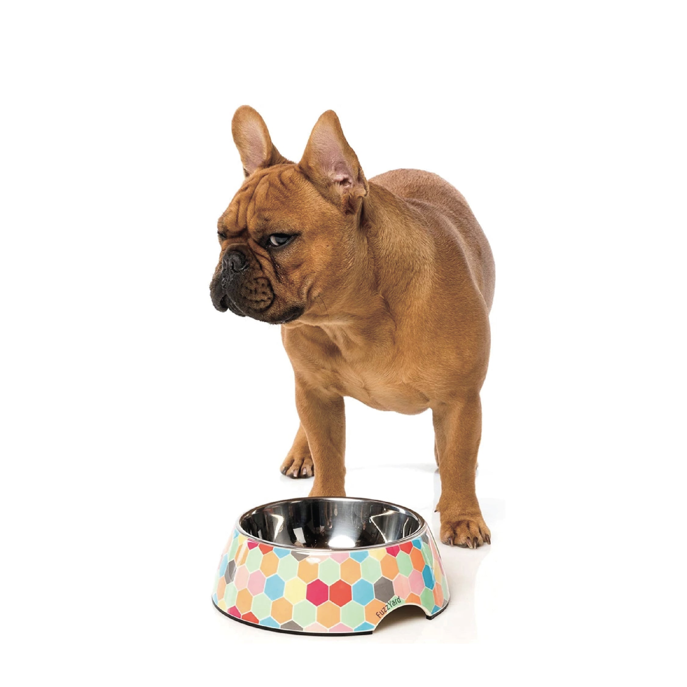 FuzzYard Easy Feeder Dog Bowl (The Hive)