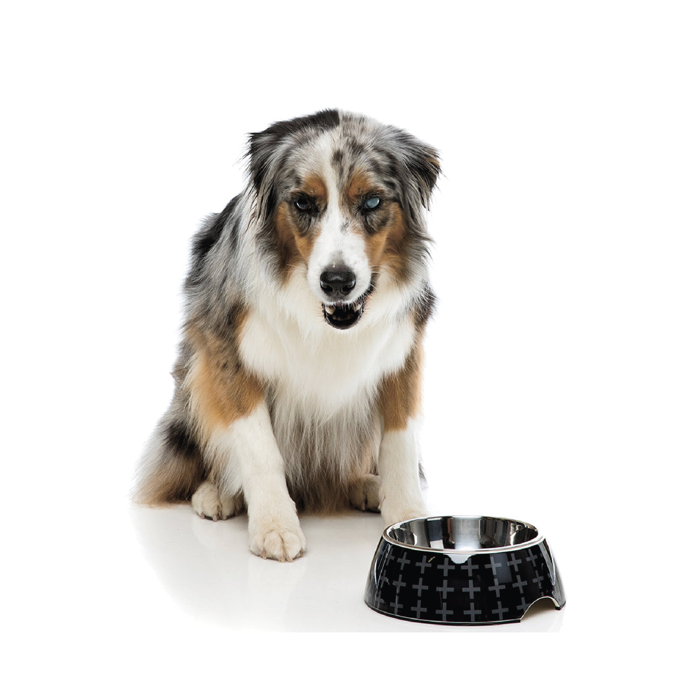 FuzzYard Easy Feeder Dog Bowl (Yeezy)