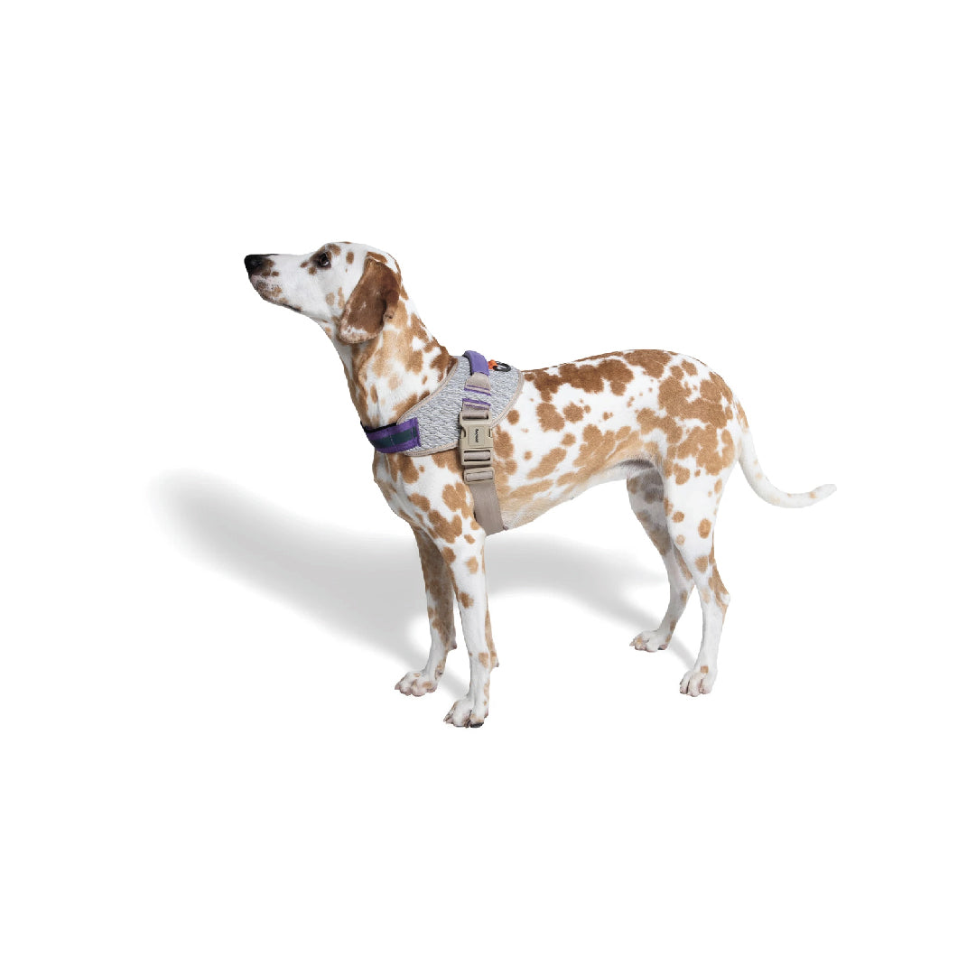 Zee.Dog ACG Fly Harness