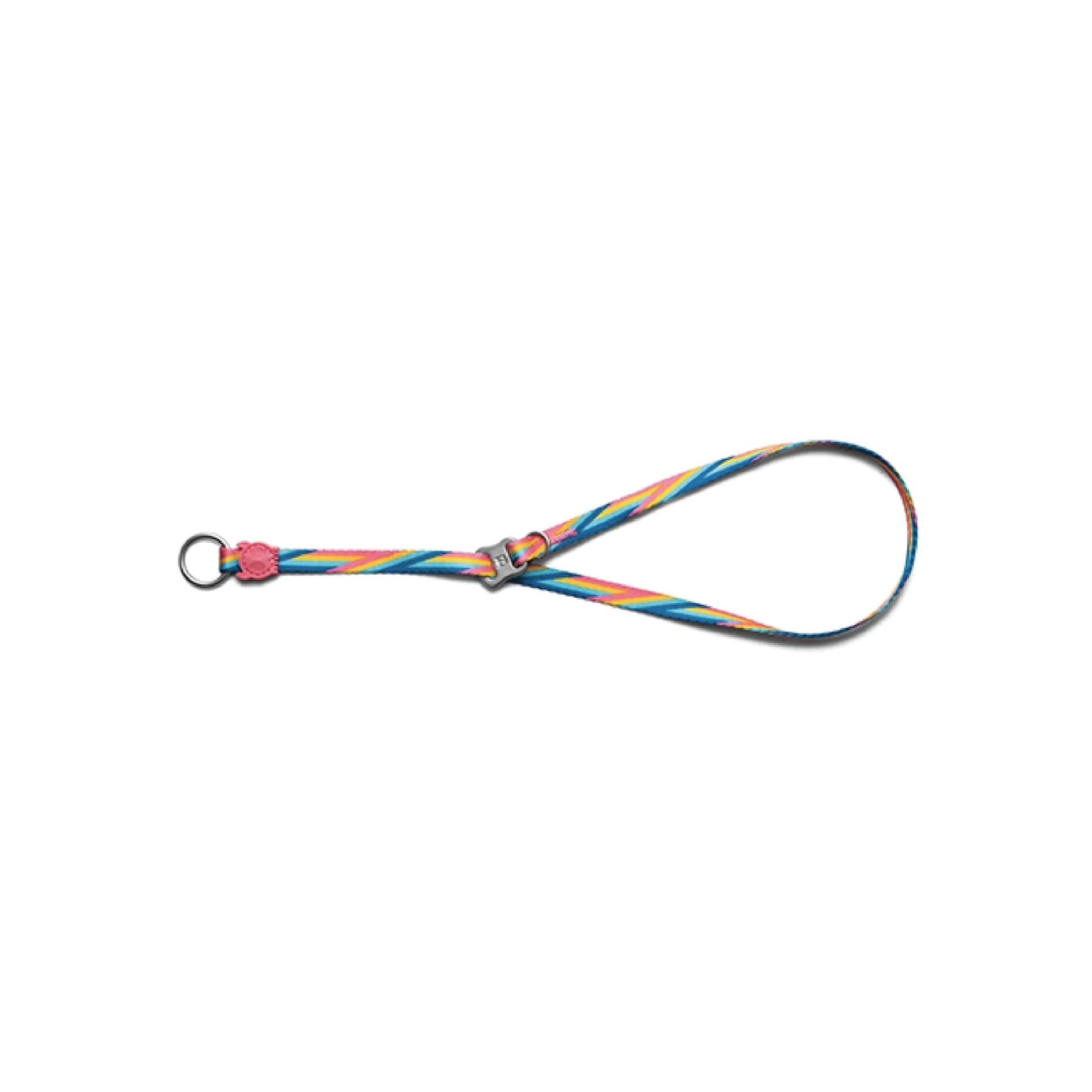 Zee.Dog Bowie Obedience Dog Collar