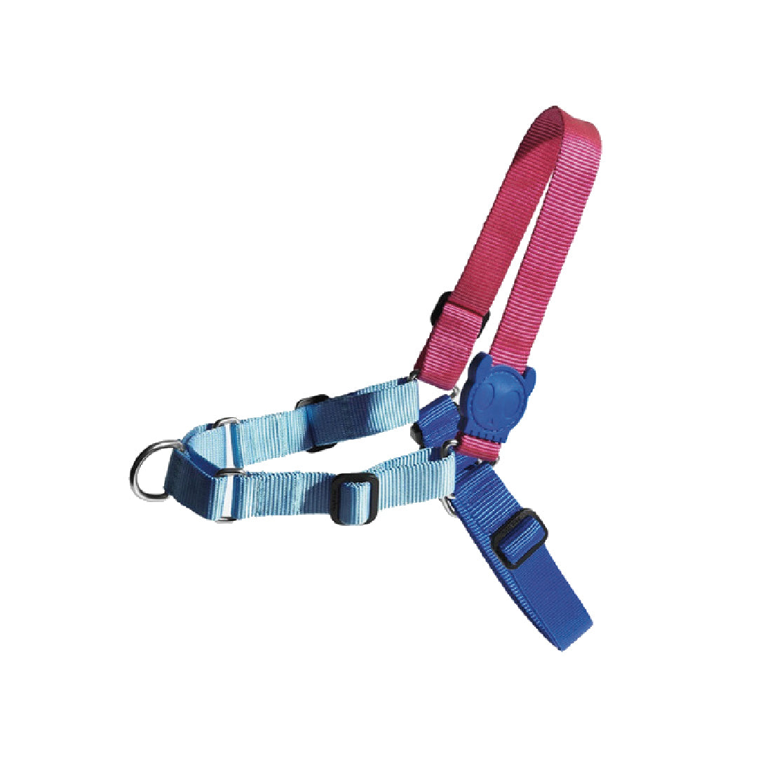 Zee.Dog Cooly Soft-Walk Harness