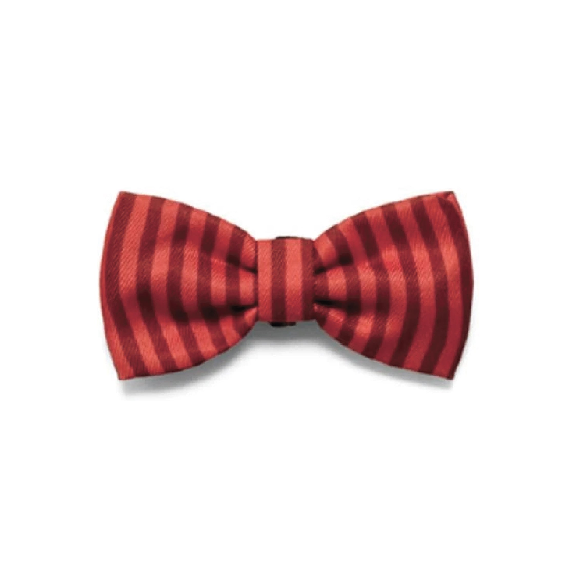 Zee.Dog Fuji Bow Tie