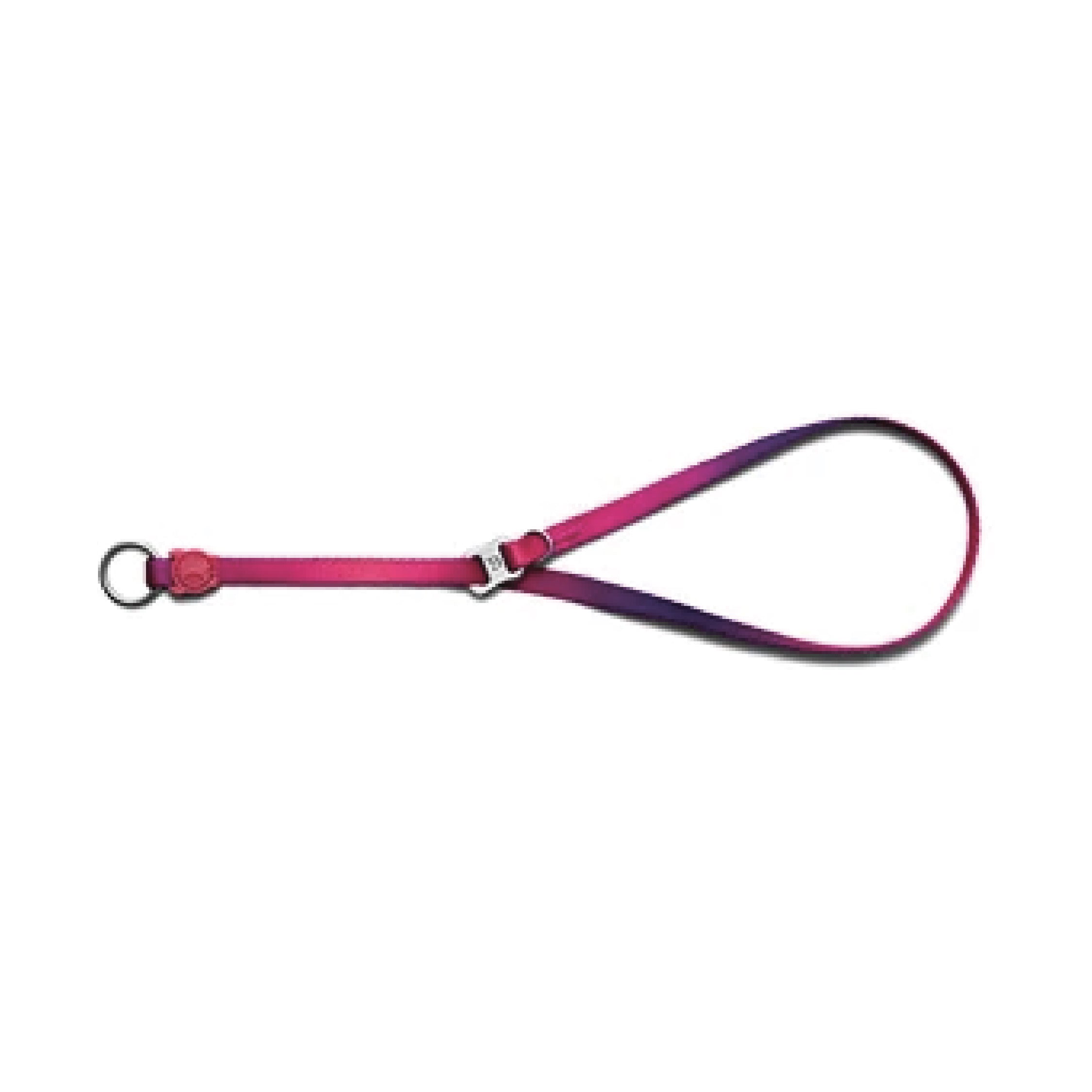 Zee.Dog Juno Obedience Dog Collar