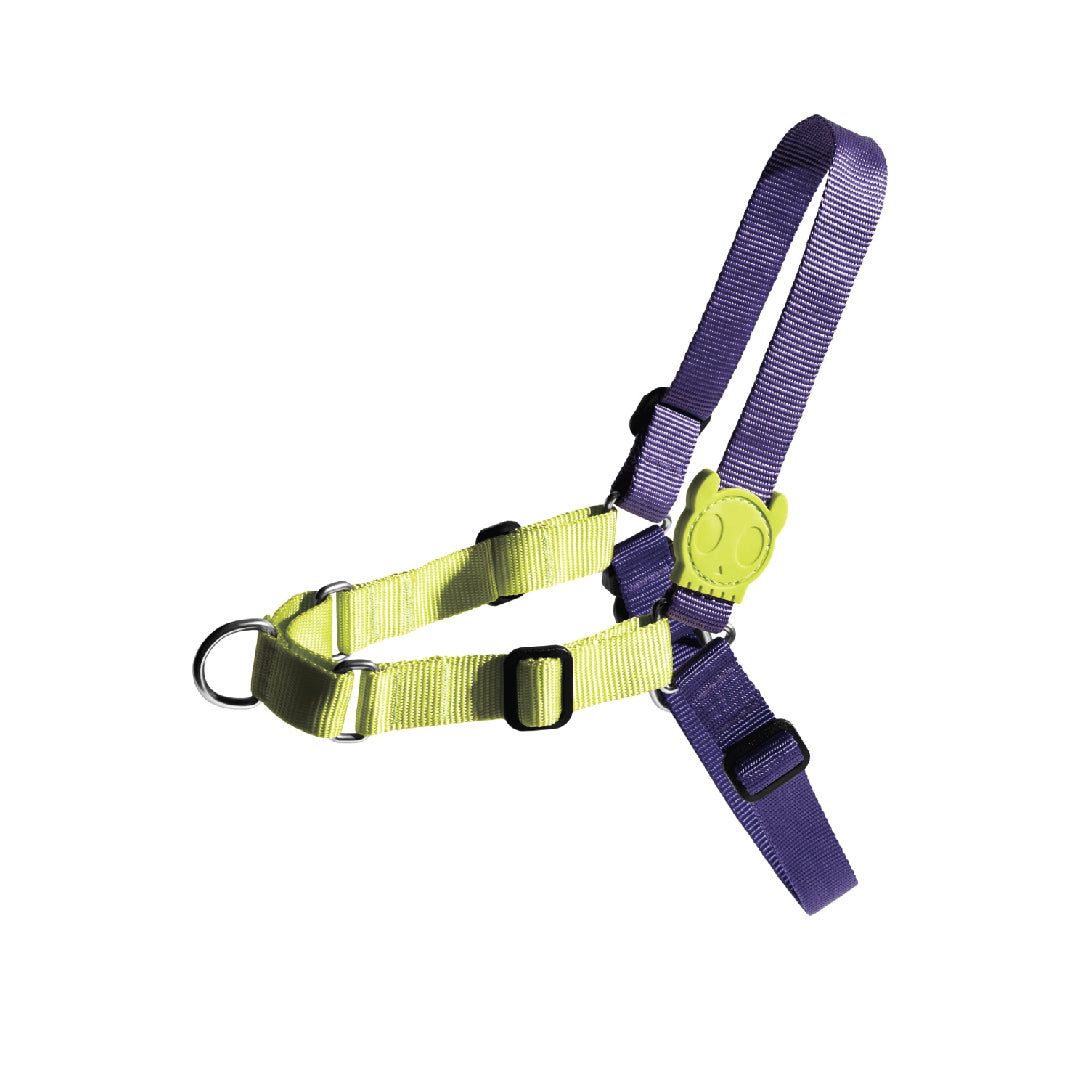 Zee.Dog Lemonade Soft-Walk Harness