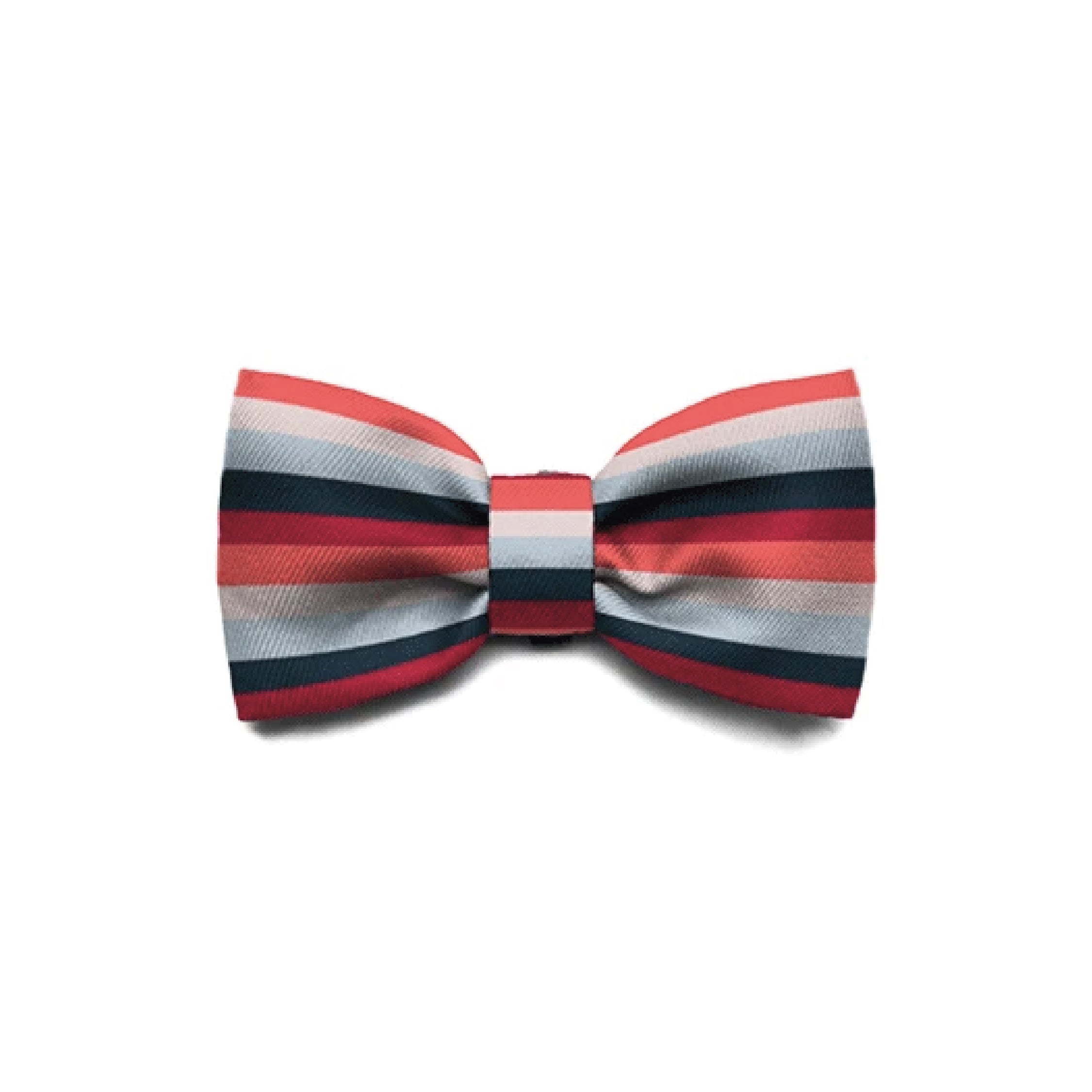 Zee.Dog Oregon Bow Tie