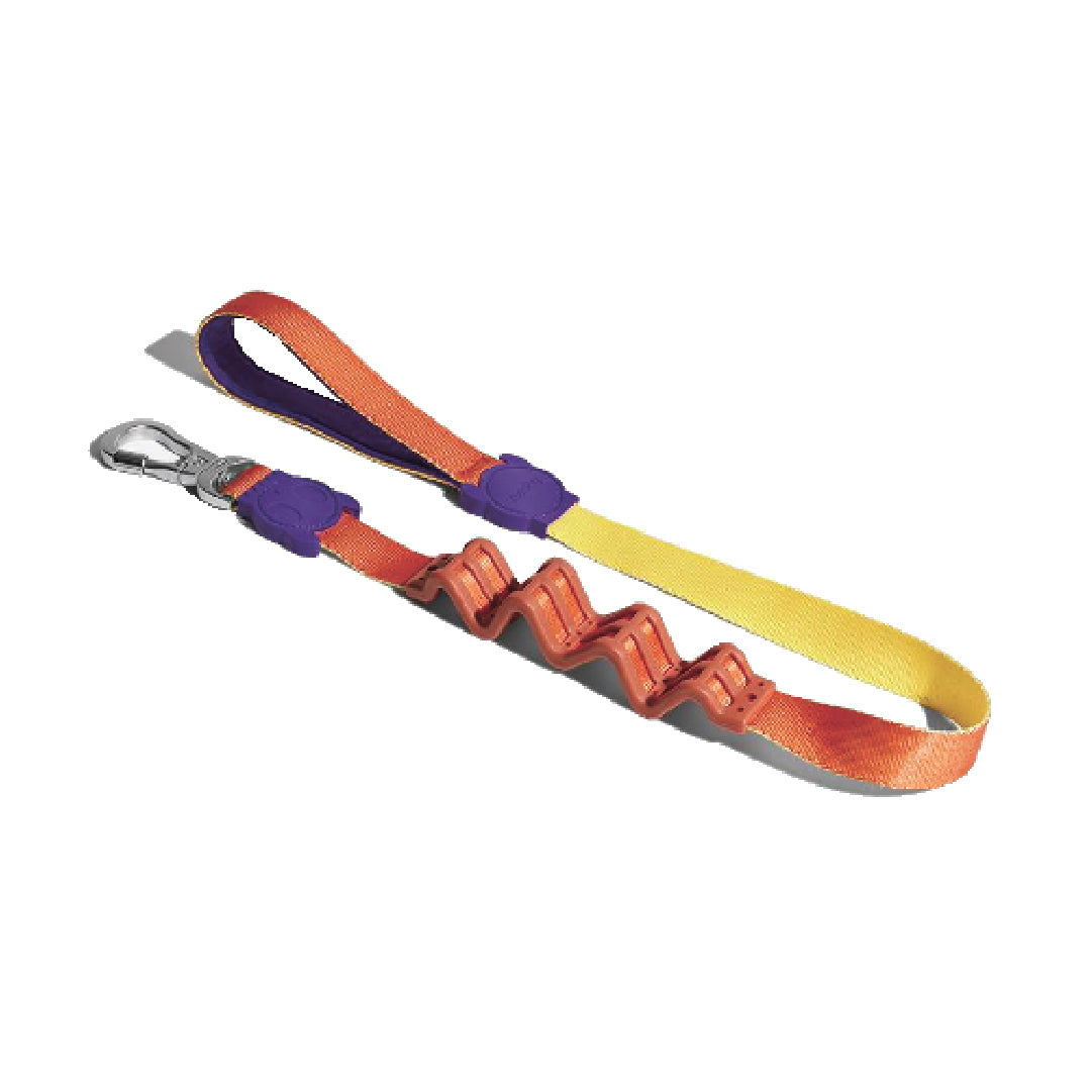 Zee.Dog Pump Ruff Leash