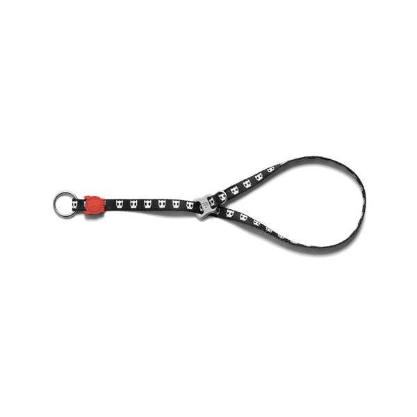 Skull Obedience Dog Collar