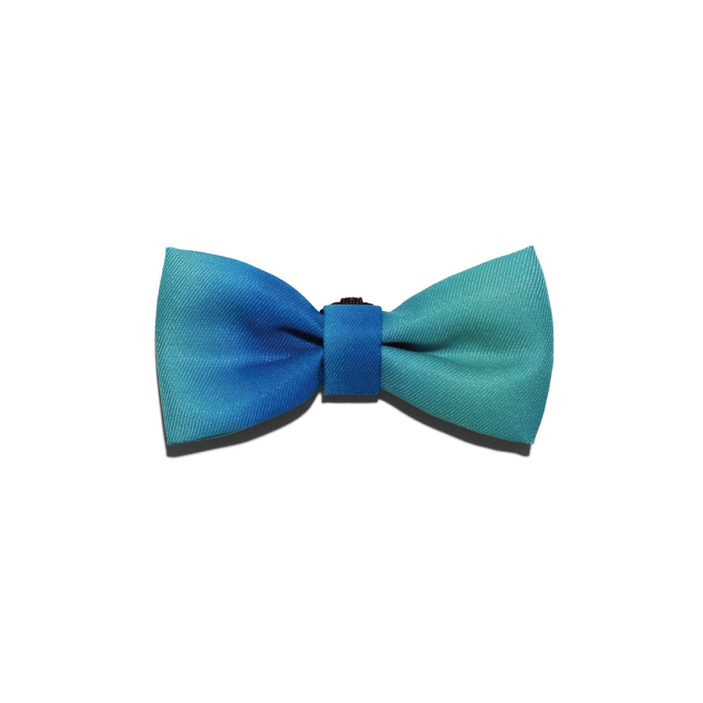 Zee.Dog Tide Bow Tie