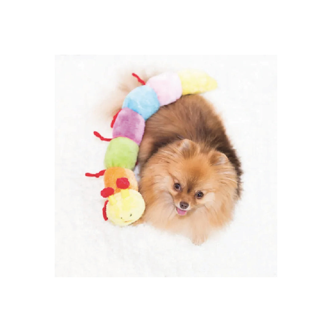 Zippypaws Caterpillar - Large with 6 Squeakers