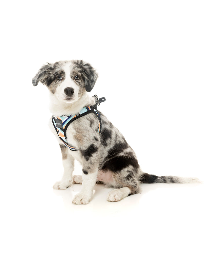 Fuzzyard Sonic Step-in Dog Harness