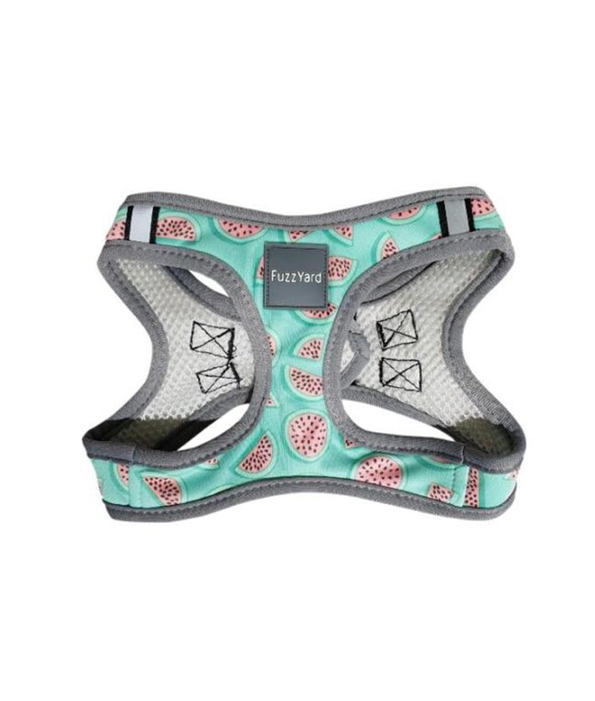 Fuzzyard Summer Punch Step-in Dog Harness
