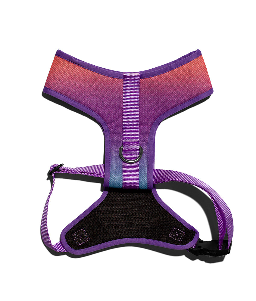 Zee.dog Wave Air Mesh Plus Harness