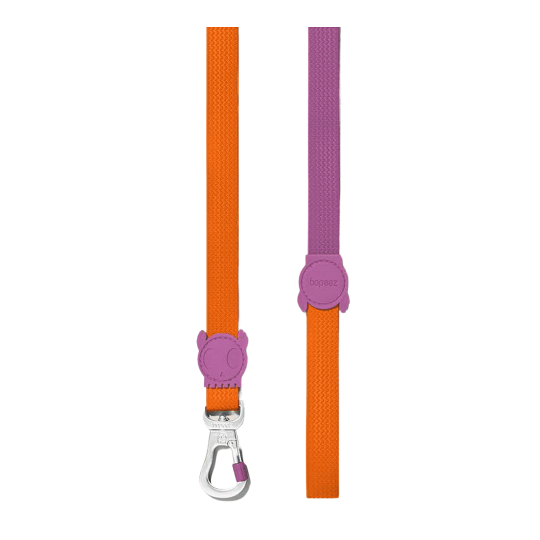 Zee dog NeoPro Iris Leash