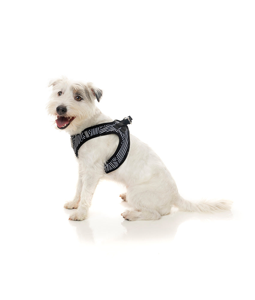 Fuzzyard Northcote Step-in Dog Harness