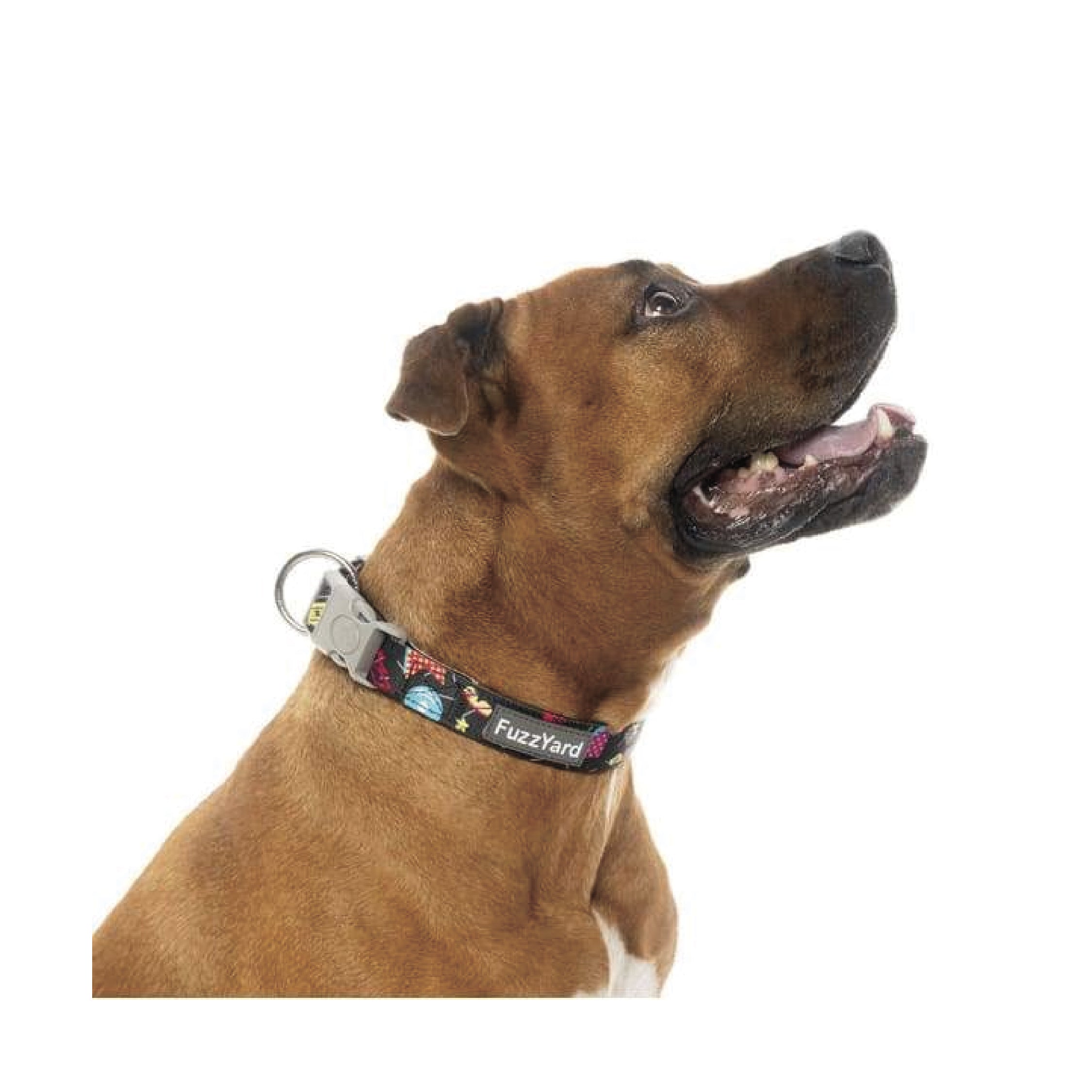 Fuzzyard Bel Air Dog Collar