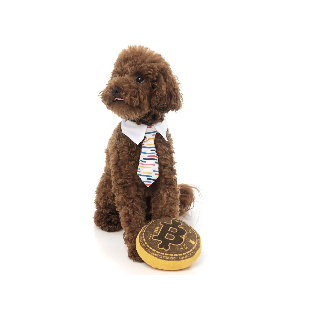 FuzzYard Bite Coin Plush Dog Toy