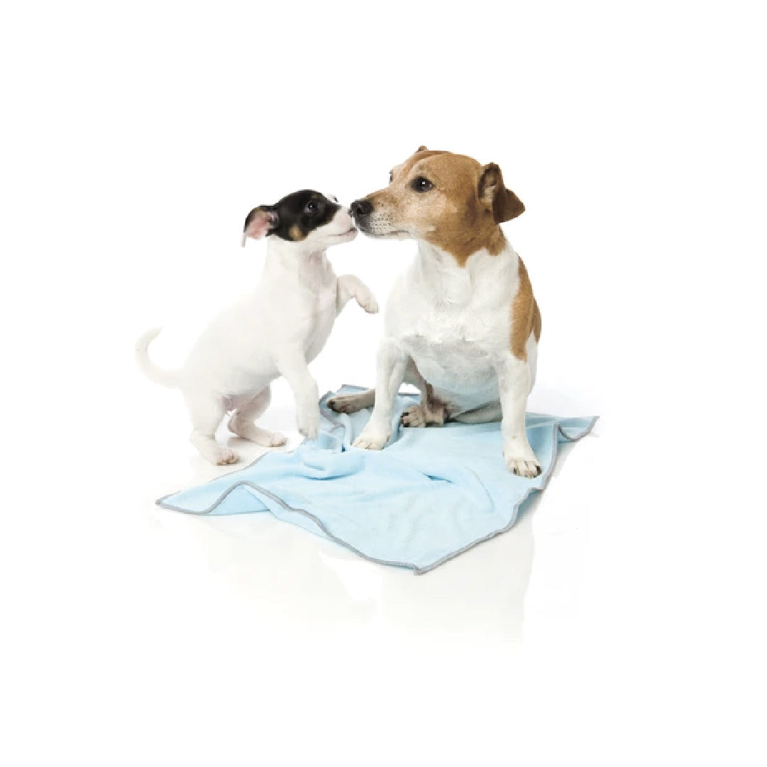 FuzzYard Microfibre Drying Towel Blue with Grey Trim For Puppies (63CM x 40CM)