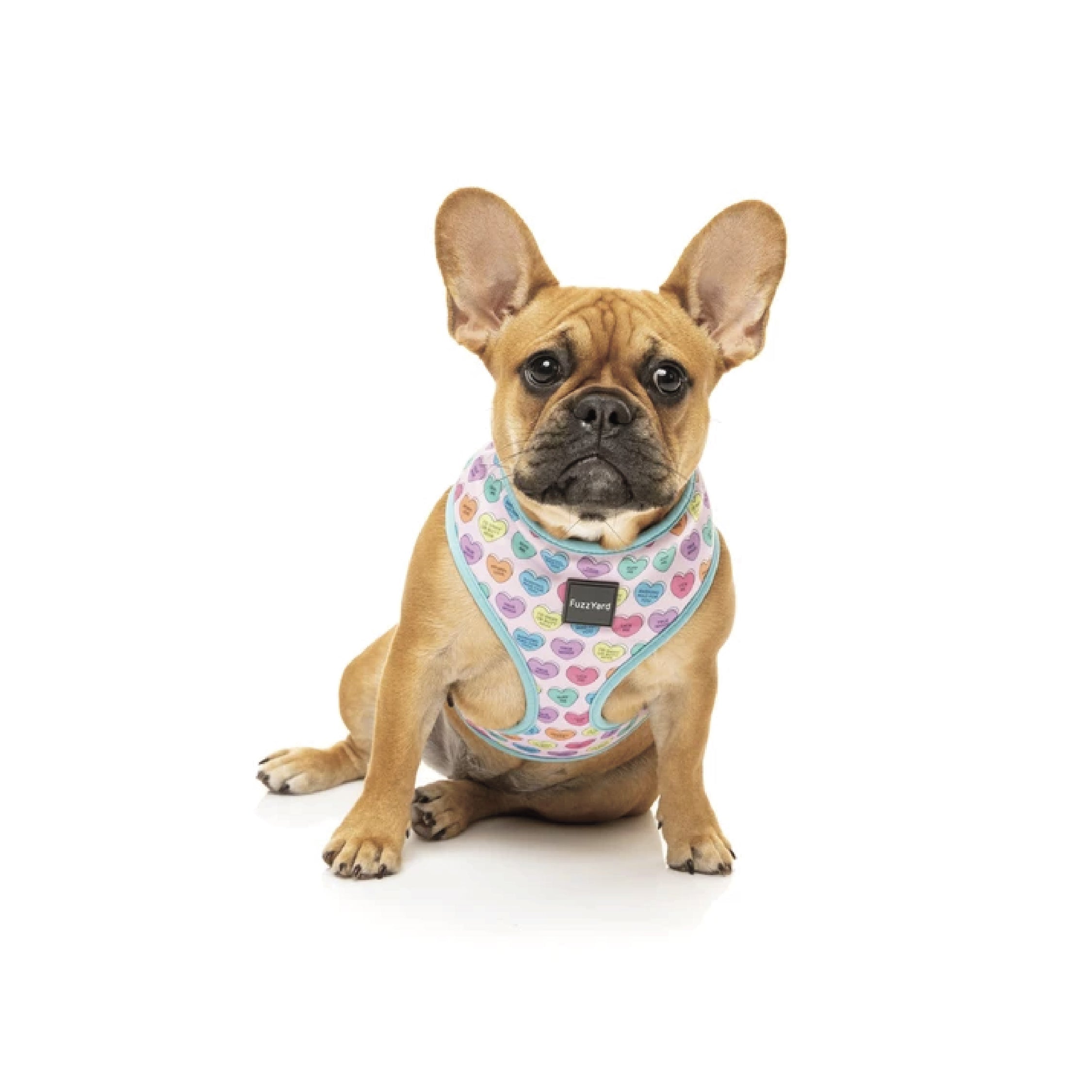 Fuzzyard Candy Hearts Step-In Dog Harness