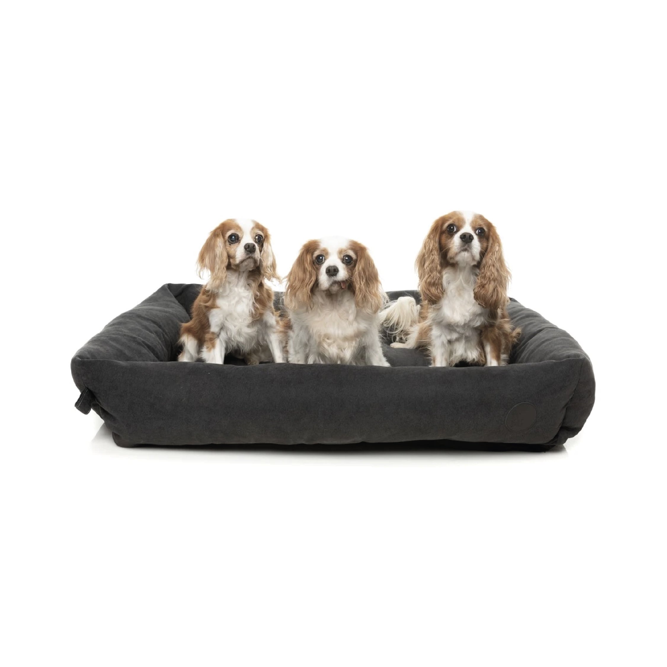 FuzzYard The Lounge Charcoal Dog Bed