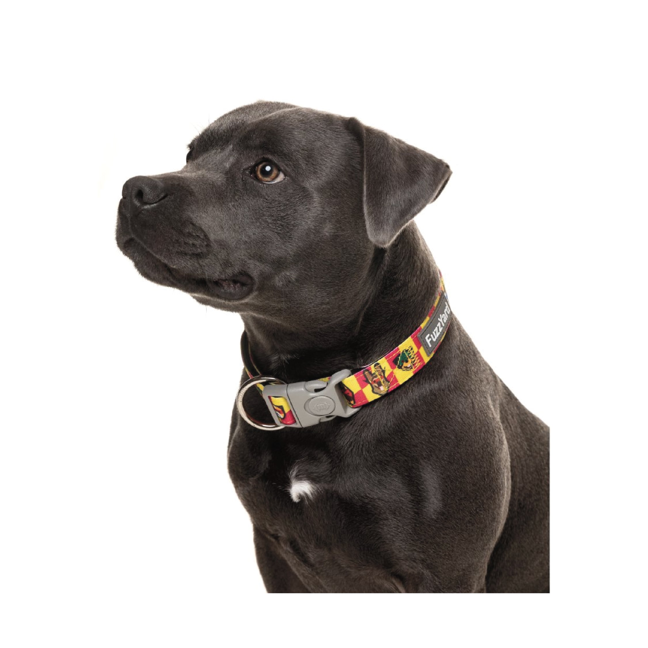 Fuzzyard Doggoforce Dog Collar