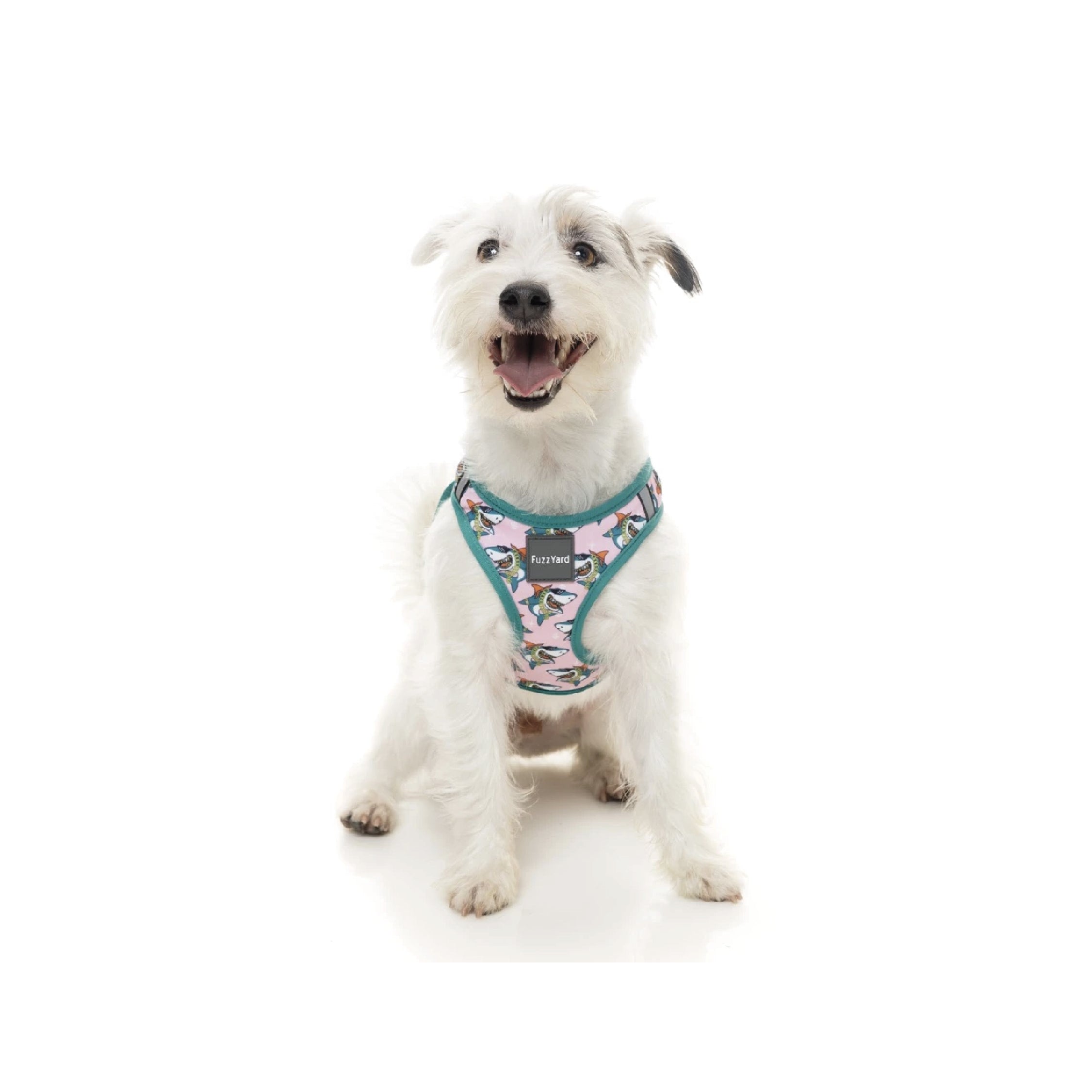 Fuzzyard LL Cool Jaw$ Step-In Dog Harness