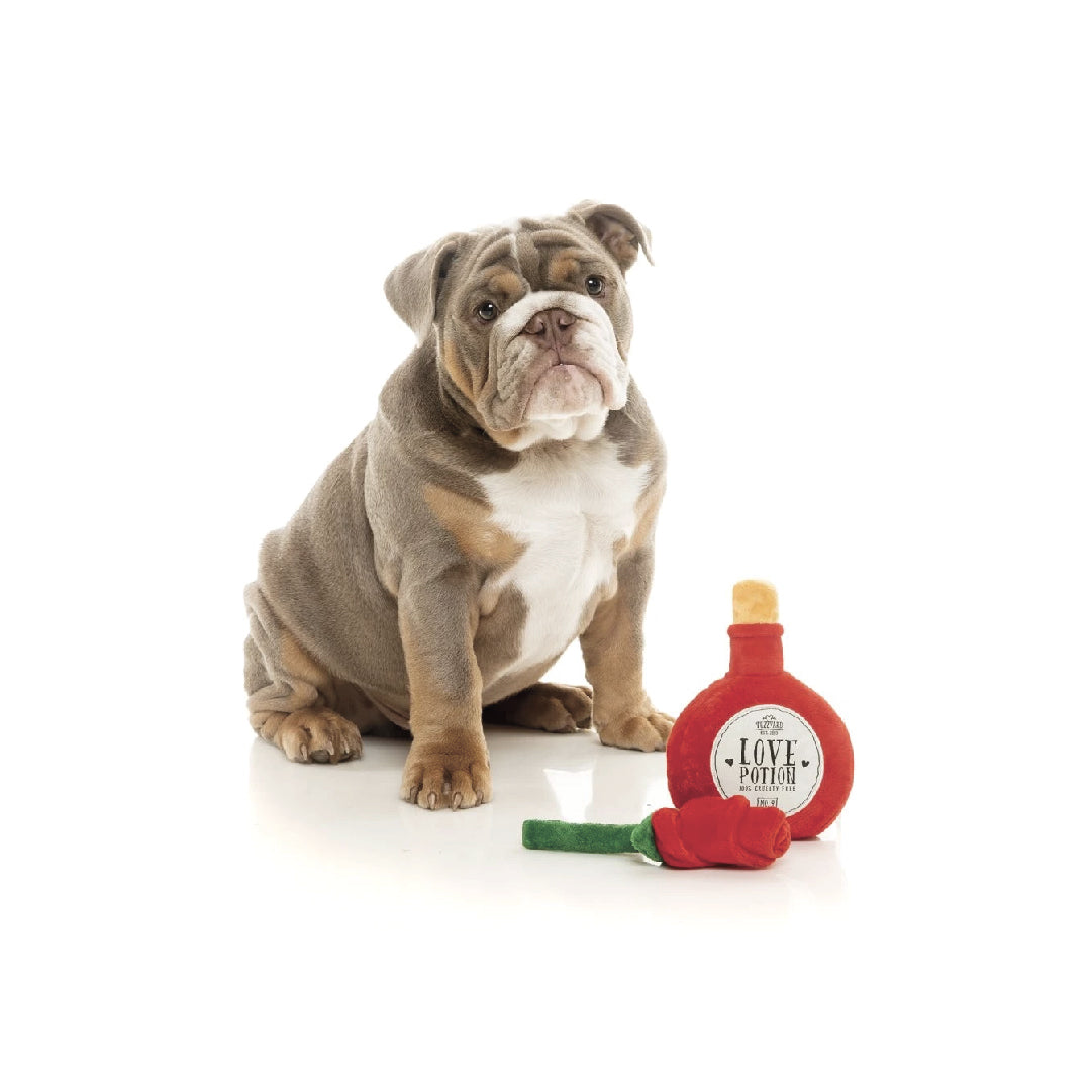 Fuzzyard Love Potion/Rose Dog Plush Toy (2pcs/pack)