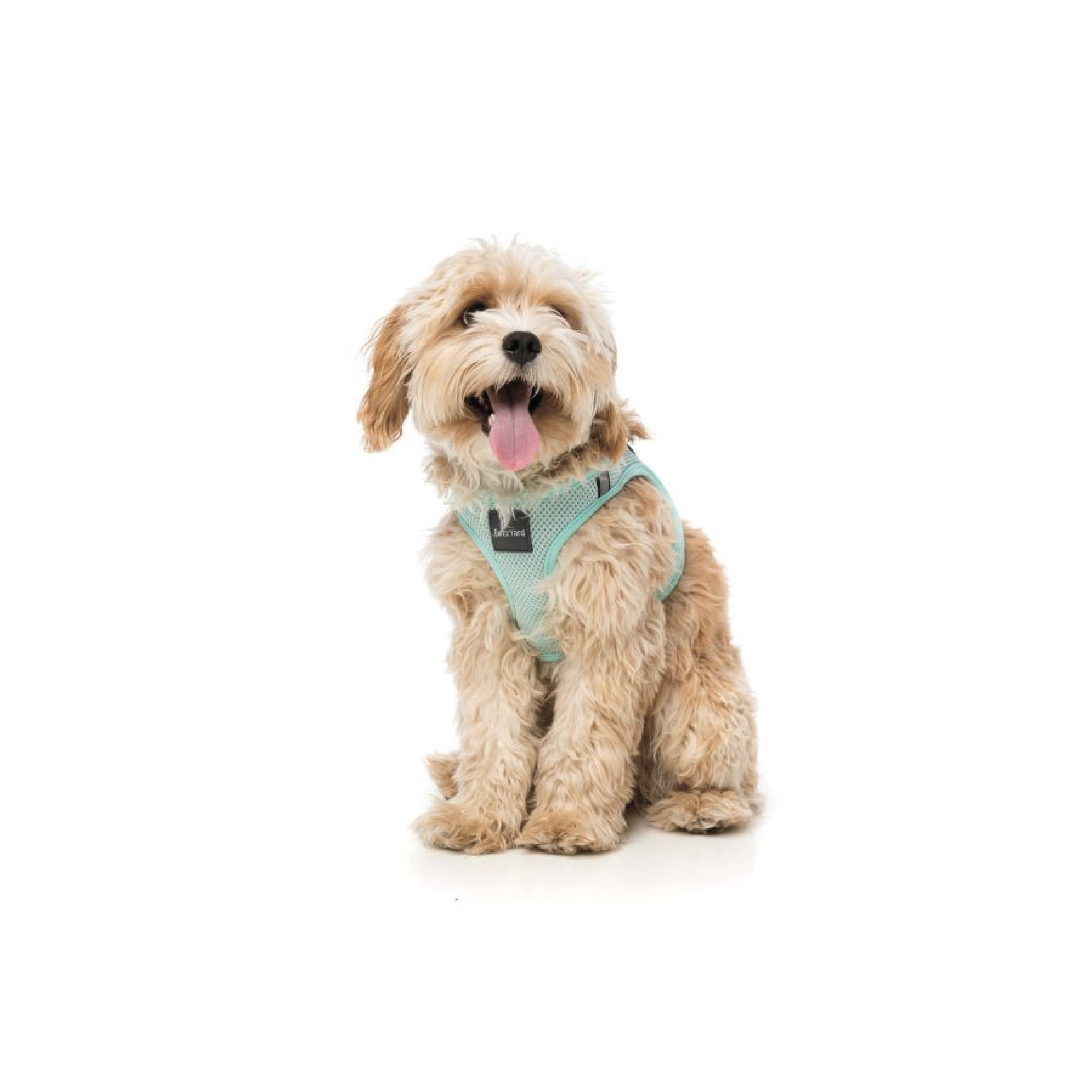 Fuzzyard Mint Dog Harness