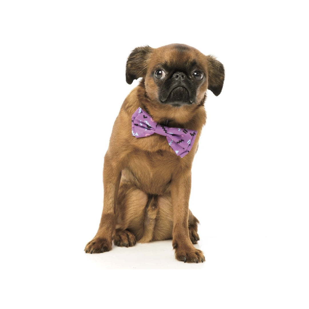 FuzzYard Purple Pet Bow Tie