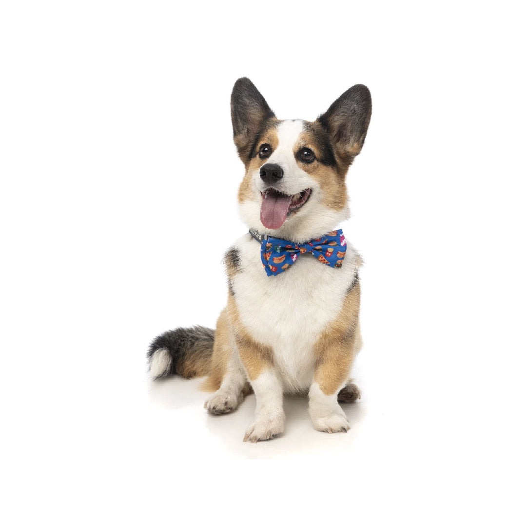 FuzzYard Supersize Me Pet Bow Tie