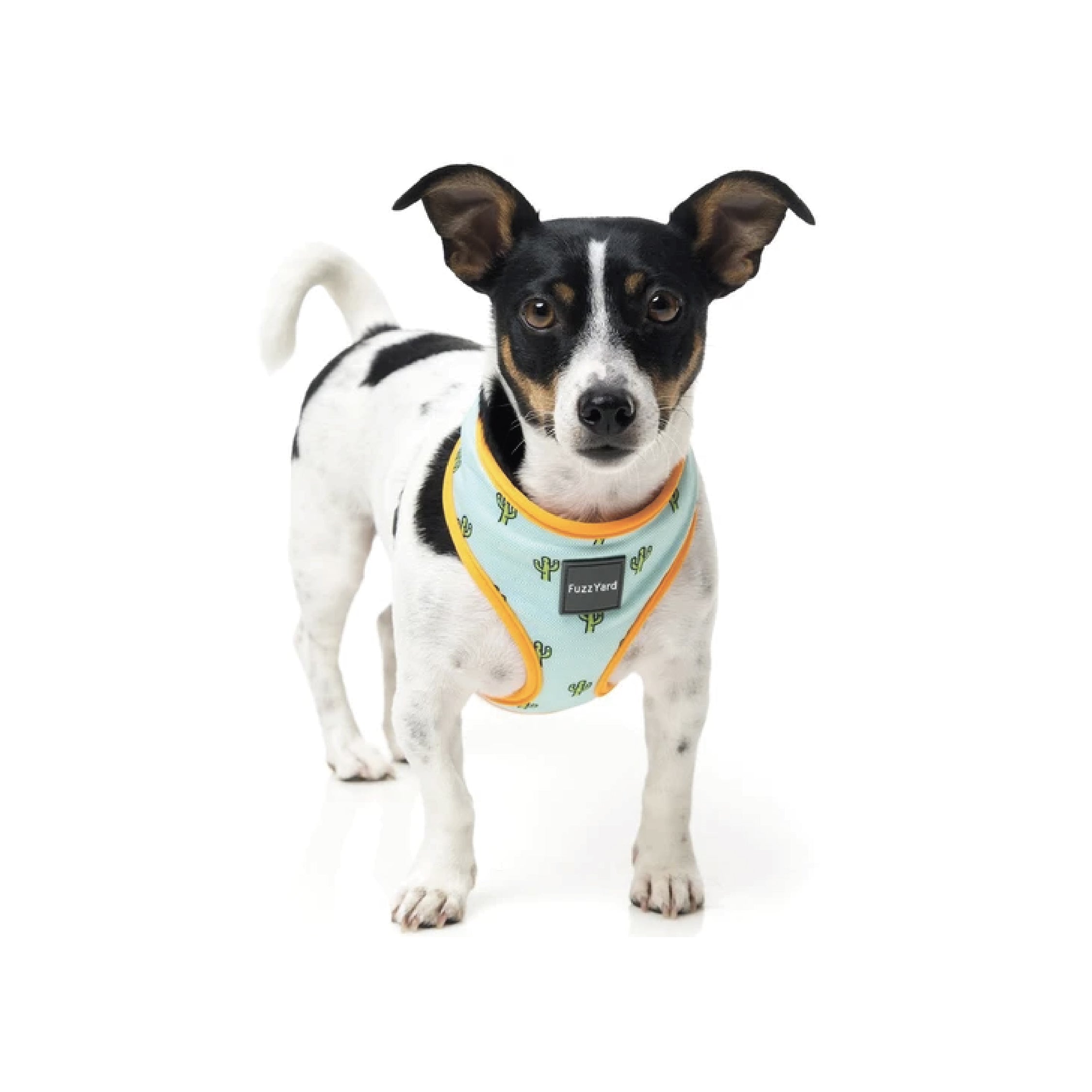 Fuzzyard Tucson Step-In Dog Harness