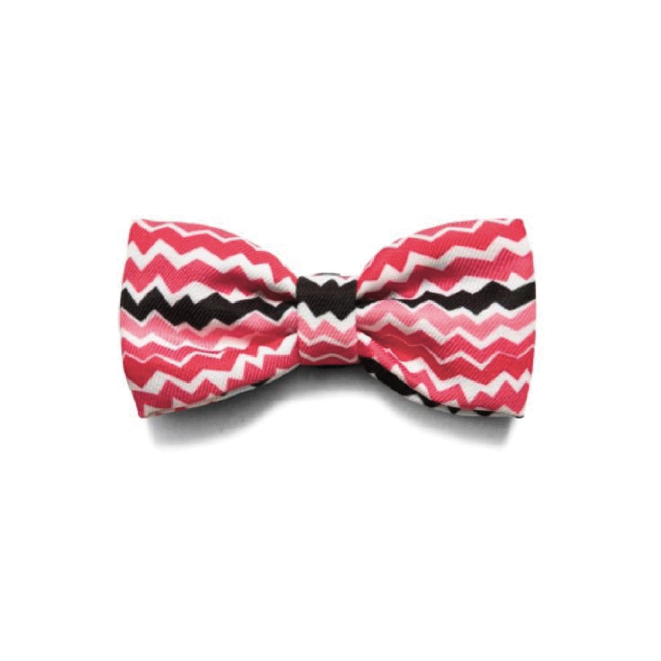 Zee.Dog Maui Bow Tie