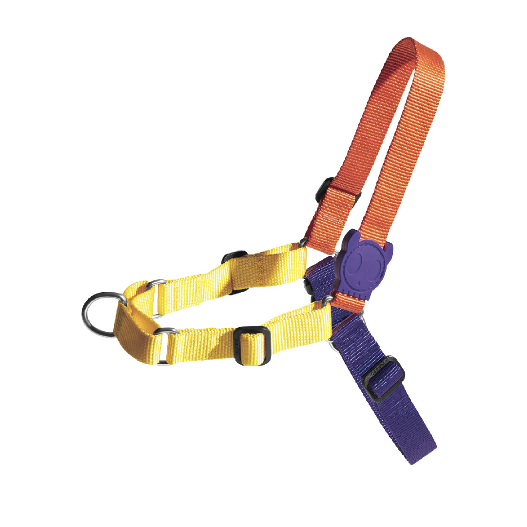 Zee.Dog Pump Soft-Walk Harness