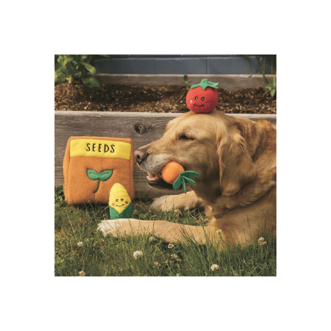 Zippypaws Burrow - Seed Packet Dog Toy